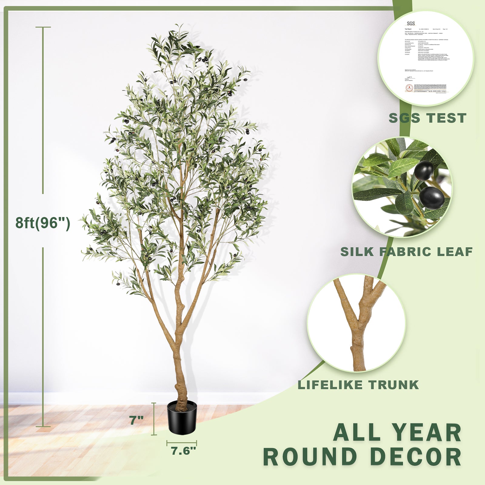 8FT Natural Olive Tree
